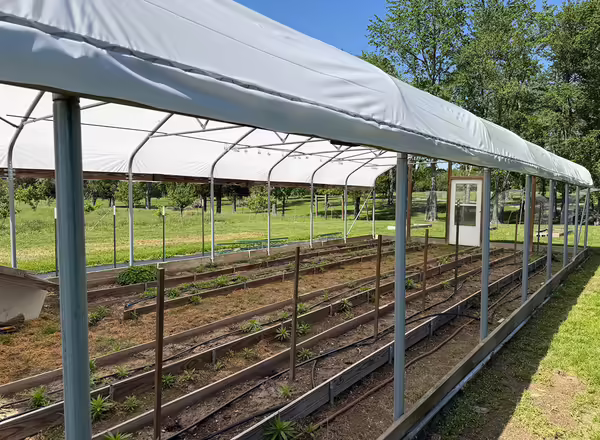 high tunnel with a white plastic cover stretched over the top