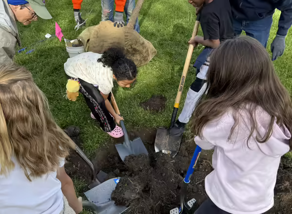 Students dig into action with help from Master Gardeners to prepare the hole for their new tree.