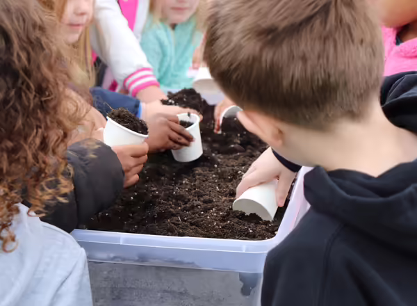1st graders planting pumpkins as part of the Environmental Day