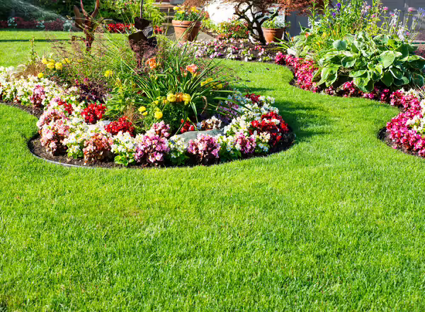 A typical European-style garden featuring a manicured lawn and an ordered display of short, non-native flowers.