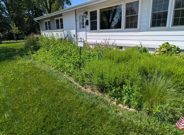 a native garden in front of an Illinois home