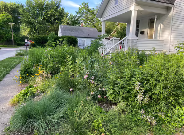 a home with a native garden in the small front yard