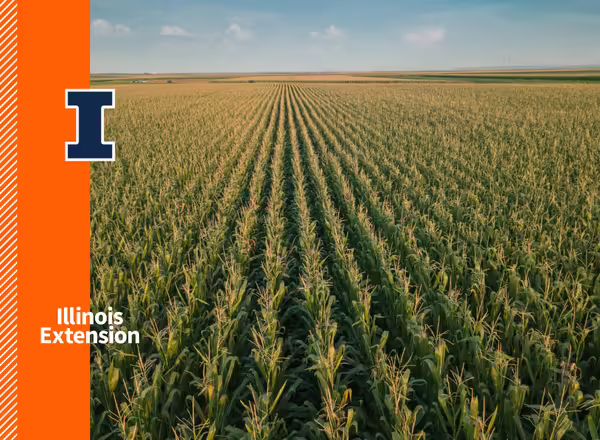 example of blue and white brand elements on Illini orange and over an image