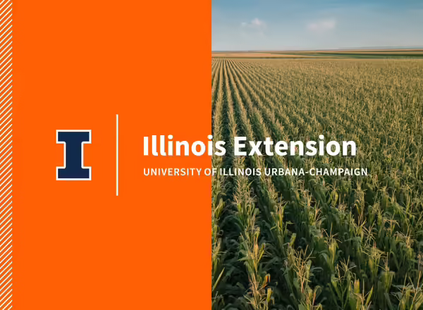 example of blue and white wordmark on Illini orange and over an image
