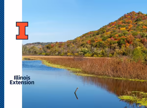 example of orange and blue brand elements on white and over an image
