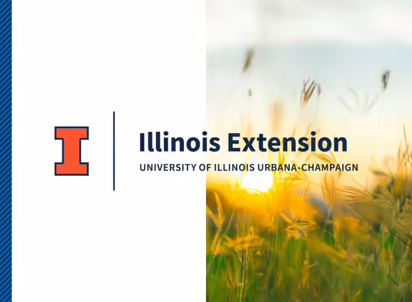 example of orange and blue wordmark on white and over an image
