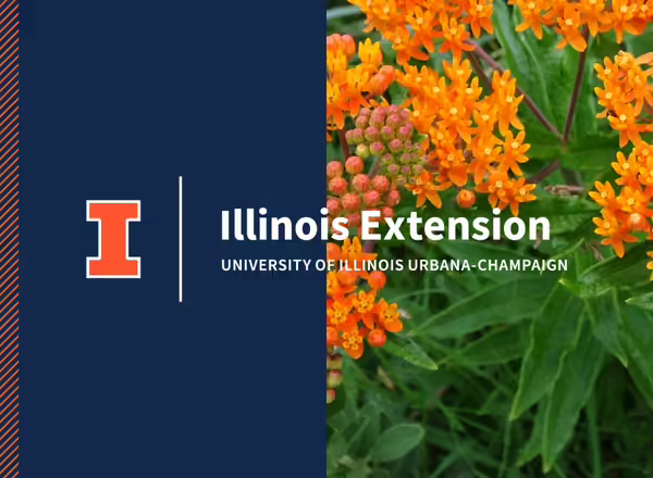 example of orange and white wordmark on Illini blue and over an image