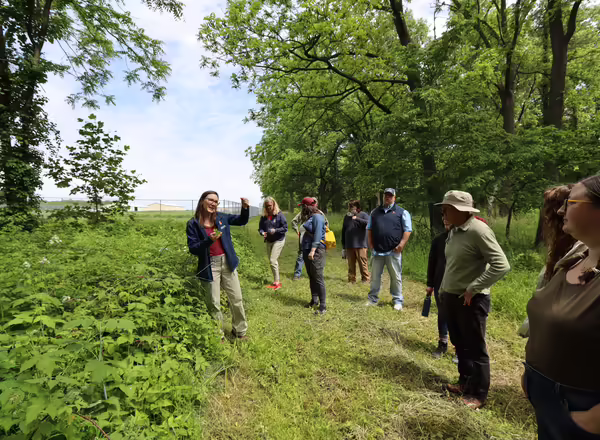 IL Extension program participants on outdoor field trip looking at native plants in an IL forest.