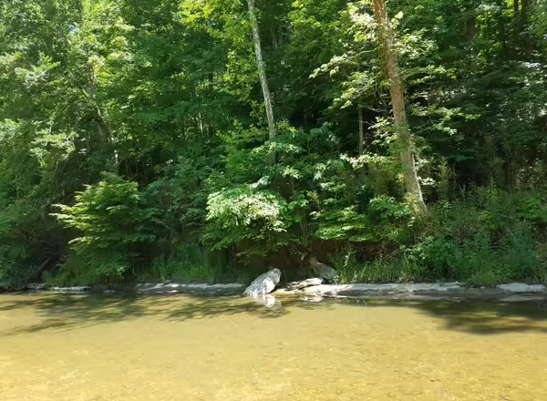 diverse plantings and rock used to stabilize a streambank
