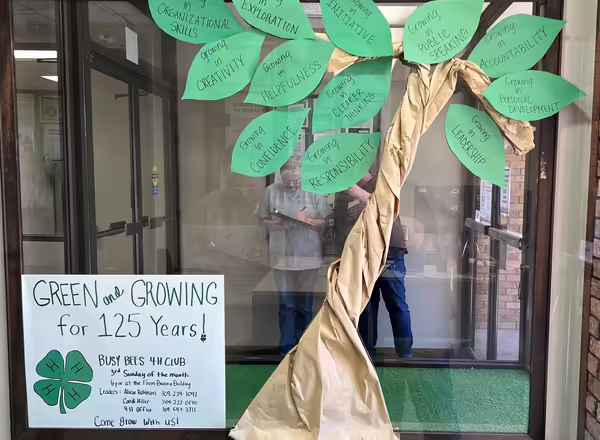 craft tree
