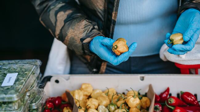 Someone holding vegetables and a bin of vegetables.