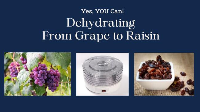 dehydrator