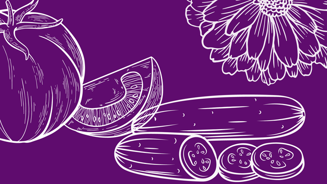 Sketch of a tomato, cucumber and flower on a purple background