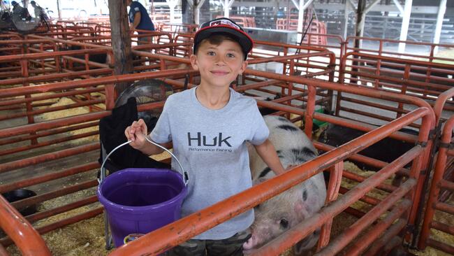 boy holding a bucket standing inside a hog pen