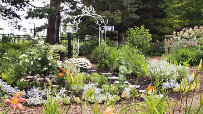 Garden 