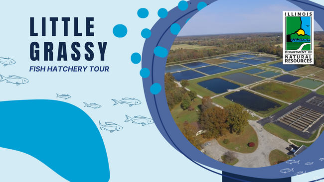 blue background with hatchery pond
