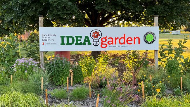 Idea Garden sign in orange and green with plants all around it
