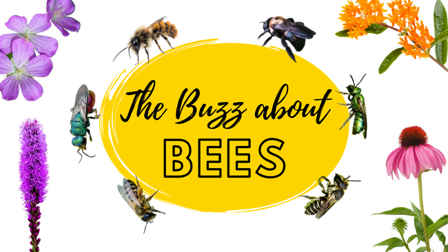 various bees and flowers