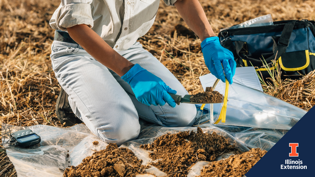 woman kneeling taking soil samples