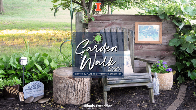 wooden chair in garden surrounded by greenery