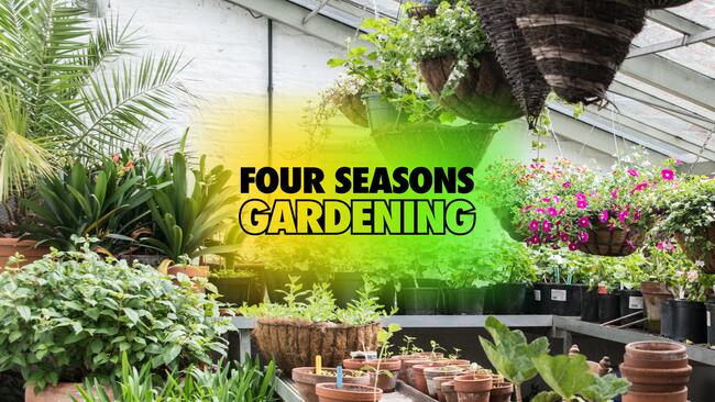 View of indoor greenhouse filled with potted plants with text overlay reading Four Seasons Gardening.