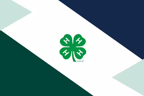 A 4-H cloverleaf with triangle design elements.