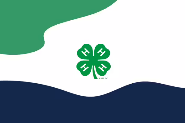 A 4-H cloverleaf with swirling design elements.