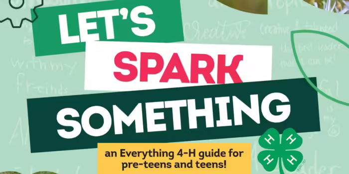 Let's spark something