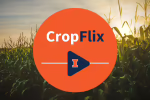 Crop Management On-Demand