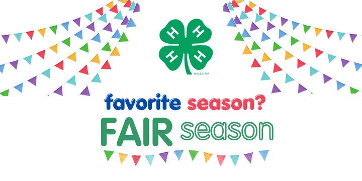 Favorite Season? Fair Season with colorful pennants