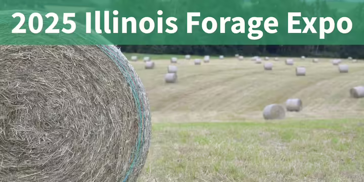 large round bales of hay in a field