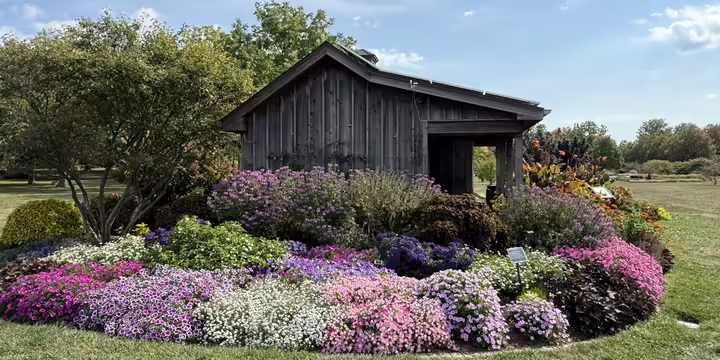 The west side of the Trials Garden, looking east toward the shed.