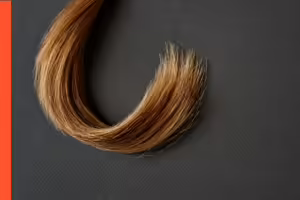 a lock of brown hair