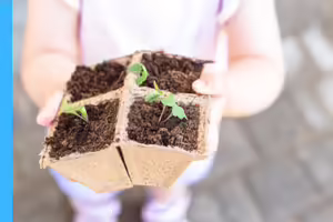 a child holding a four pack cardboard container with plants starting to grow