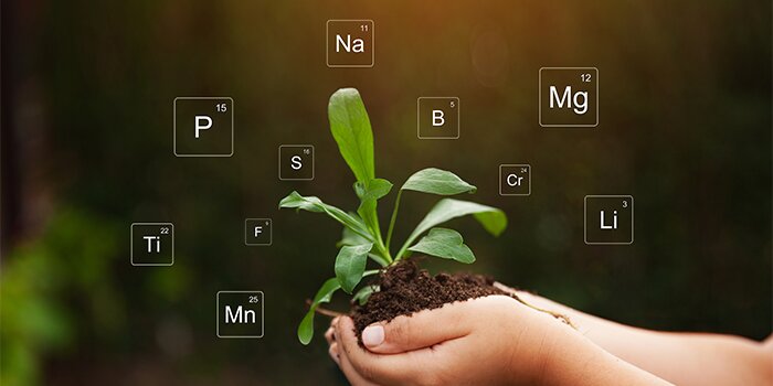 seedling in hands with periodic table elements floating around