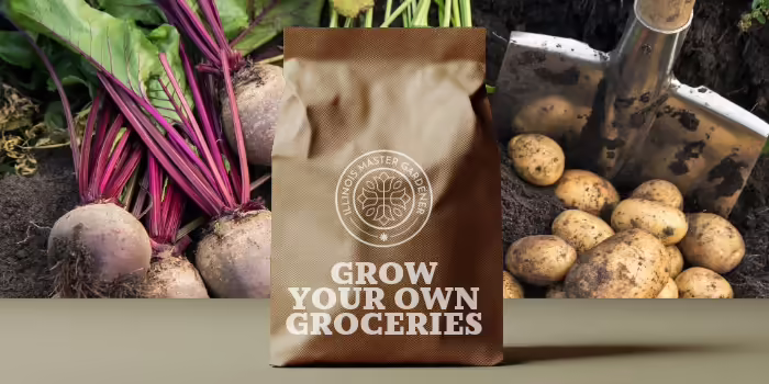 Grow your own groceries