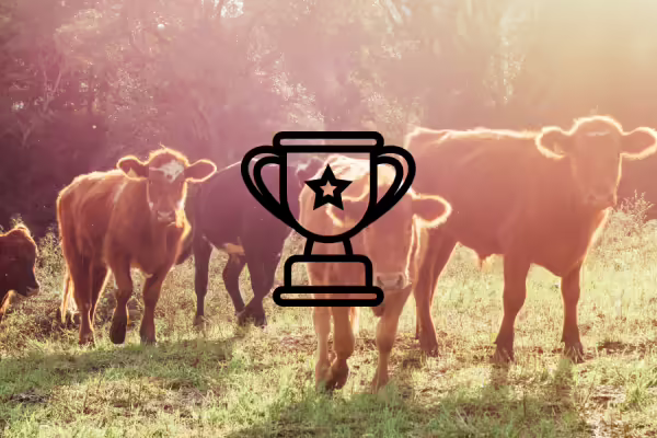 A group of cows in a field with a graphic of a trophy over the image.