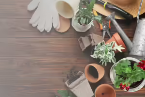 gardening gloves, flower pots, and gardening tools on a table