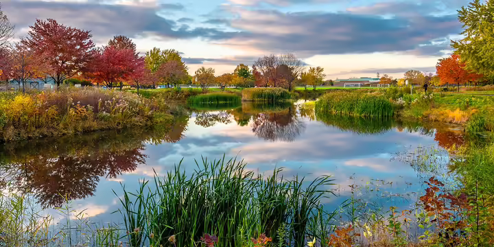 trees changing color for fall surround a pond