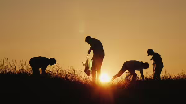 people cleaning up trash silhouetted by a setting sun