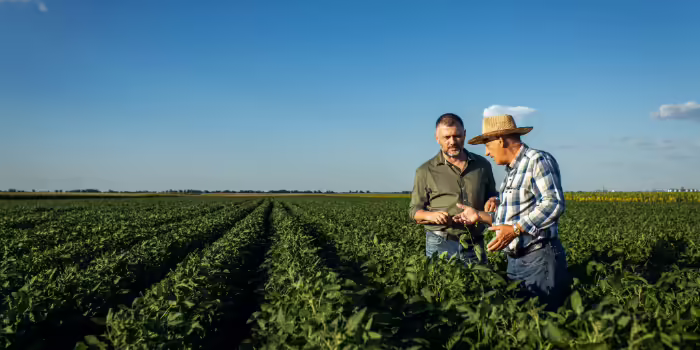 Crop advisor and farmer talking in a crop field. 