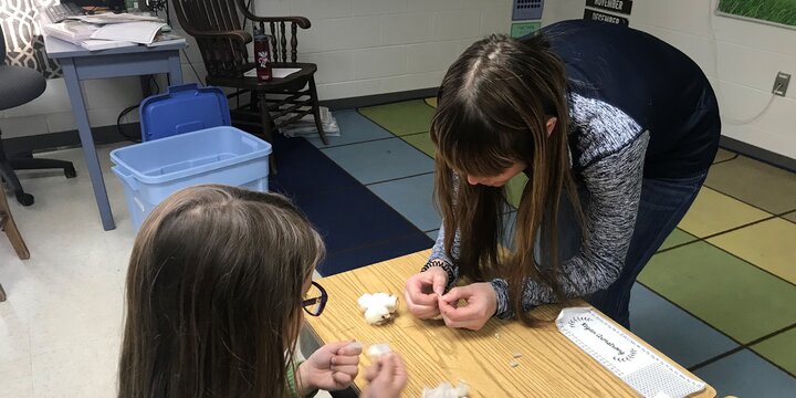 Student and student teacher learning about cotton plants.