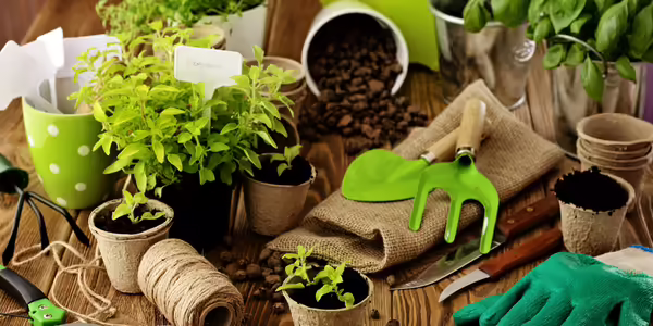 Gardening tools and potted plants