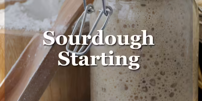 jar of sourdough