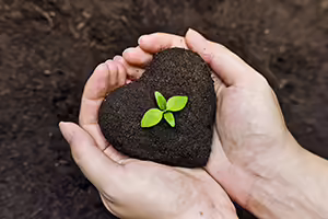 hand holding soil in shaped of a heart with a plant on top