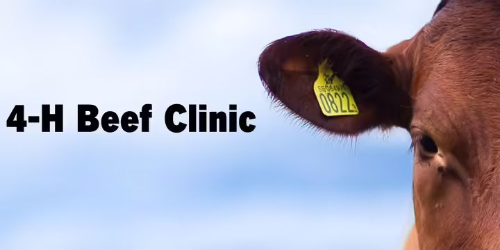 Beef clinic