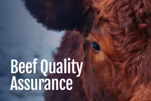 Beef Quality Assurance Training