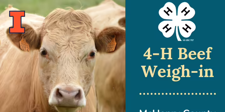 Beef Weigh in flyer, more info in text