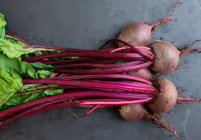 Beets