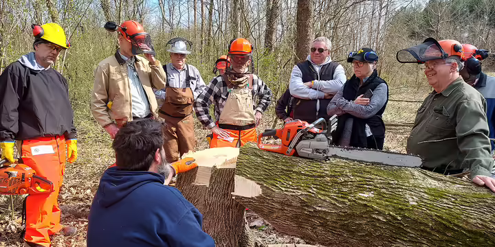 a group stands around a fallen log